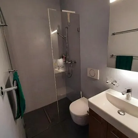 Apartment Haus Alvier - Charmingstay *